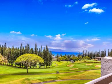 Kapalua Condo 896358